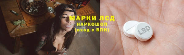 спайс Алзамай