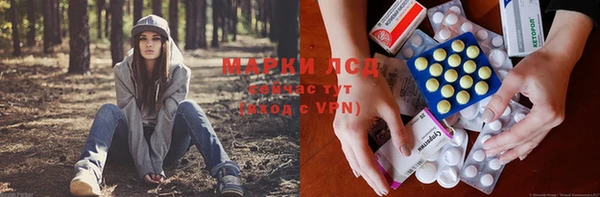 спайс Алзамай