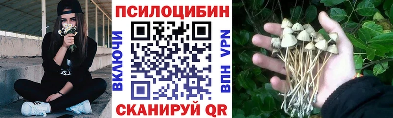 omg как зайти  Кондопога  Псилоцибиновые грибы GOLDEN TEACHER 