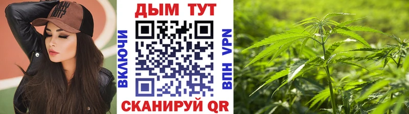 omg как войти закладки Кондопога Бошки марихуана VHQ